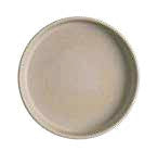 Sandstone -Walled Plate 22.8 cm