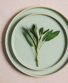 Sage- Flat Plate 26 cm