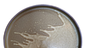 Cedar- Low-walled Plate 25 x 25 x 2 cm