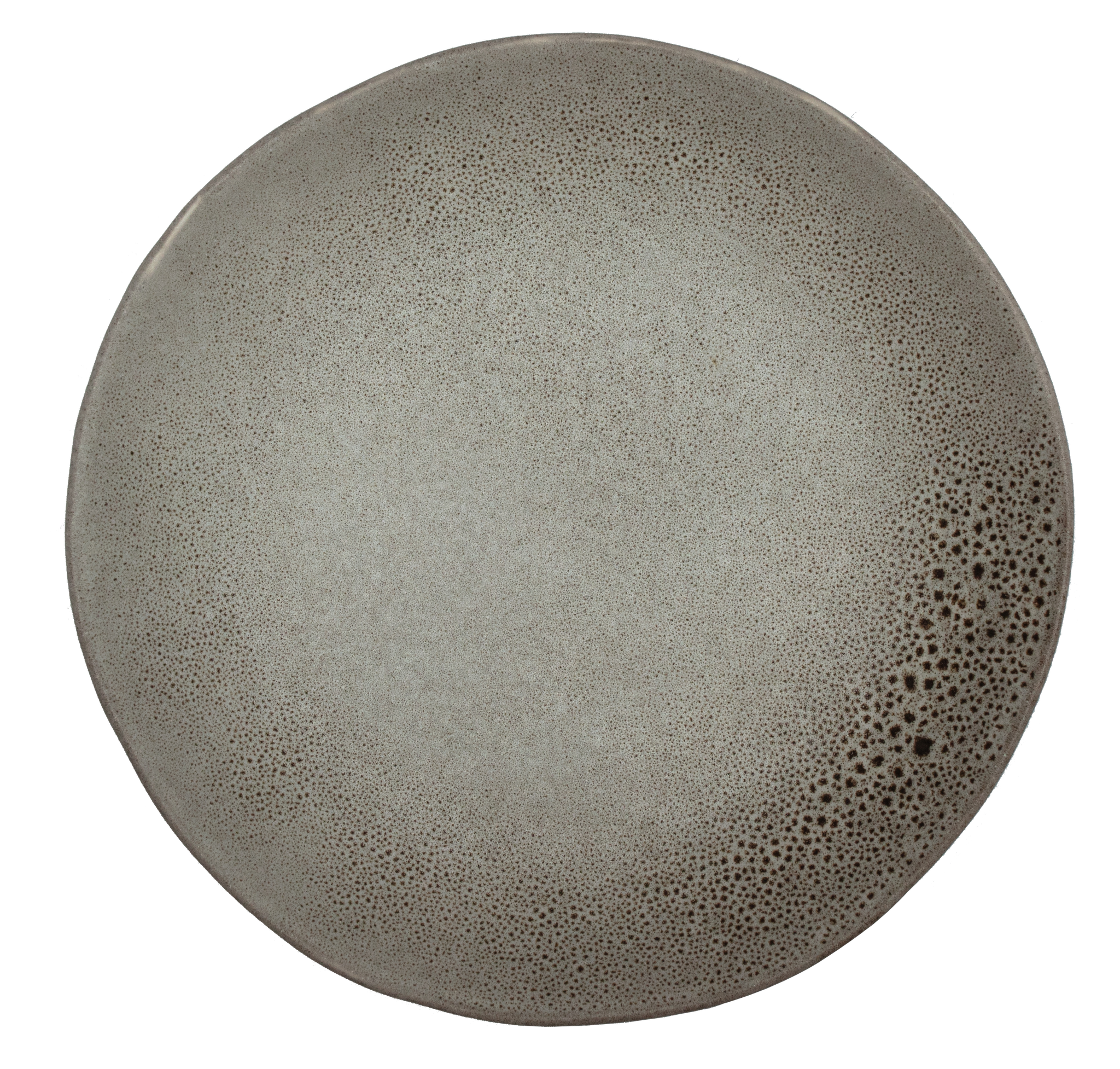 Moonlight Grey Dinner Plate
